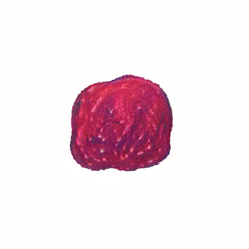 Oilyspebbles