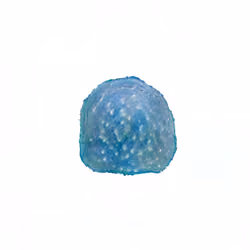 Pebble #1710