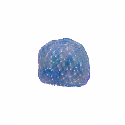 Oilyspebbles