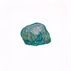 Pebble #1101