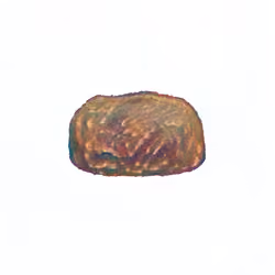 Pebble #1735