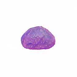 Pebble #249