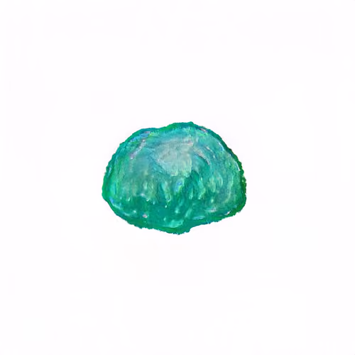 Pebble #1504