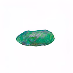 Pebble #1760
