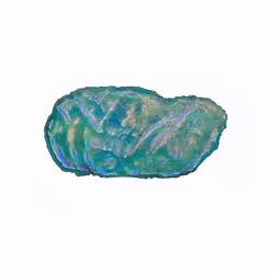 Pebble #1519