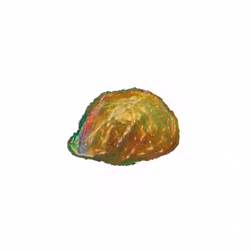 Oilyspebbles