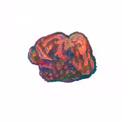 Pebble #242