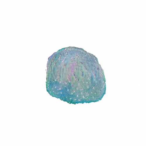 Pebble #1528
