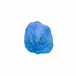Pebble #790