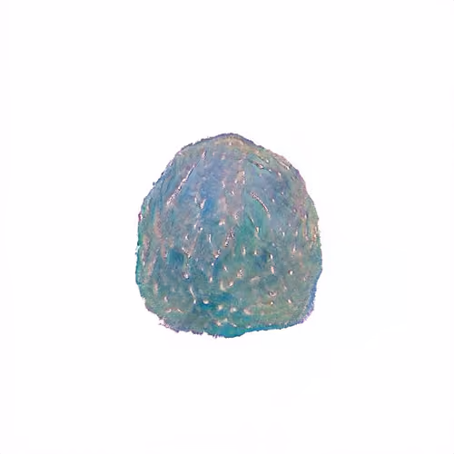 Pebble #379