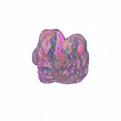 Pebble #170