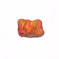 Pebble #509