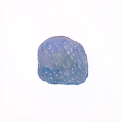 Pebble #188