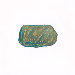 Pebble #1394
