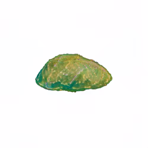Pebble #186