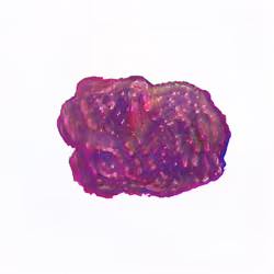 Pebble #246