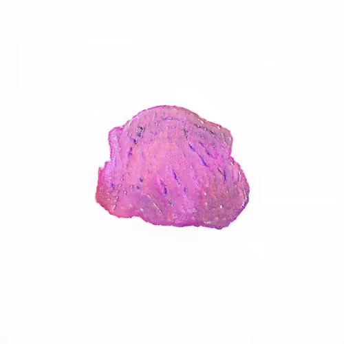 Pebble #1071