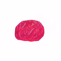 Pebble #1762