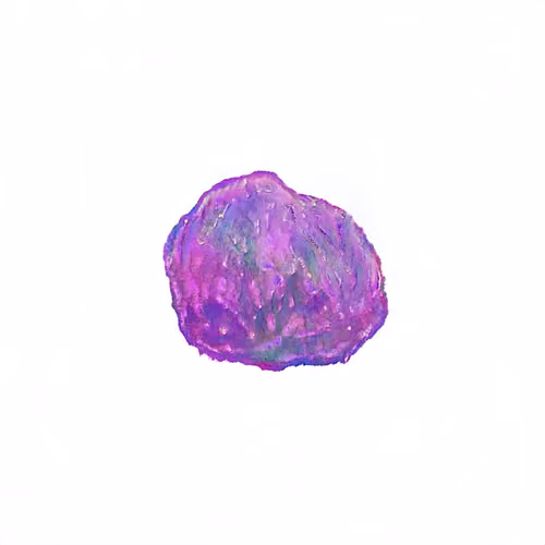 Pebble #700