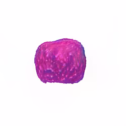 Pebble #847