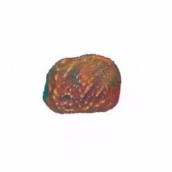 Pebble #1248
