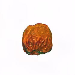Pebble #1736
