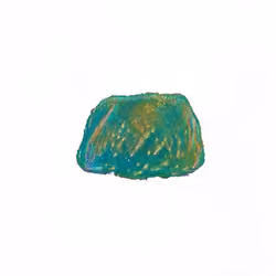Pebble #951