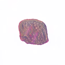 Pebble #1767