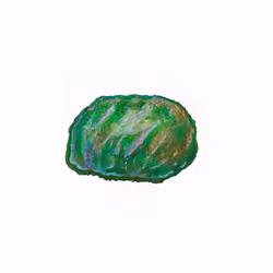 Pebble #1907
