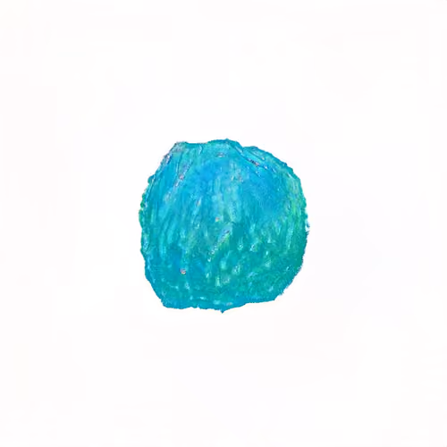 Pebble #1285