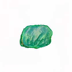 Pebble #201