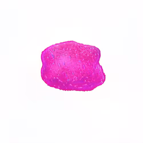 Item #1498 Media
