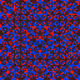 348