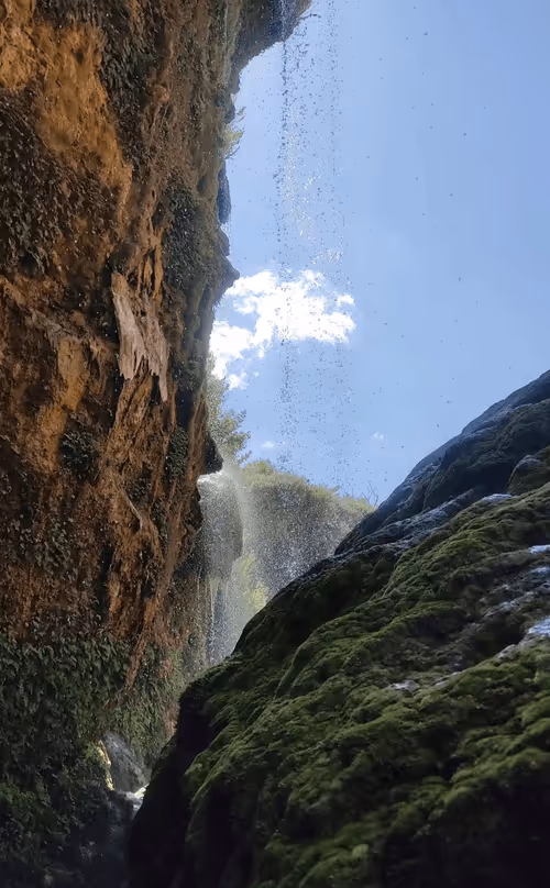 Item #76103033548357465250953012551925313945884183331324569913025799803168247251071 Media