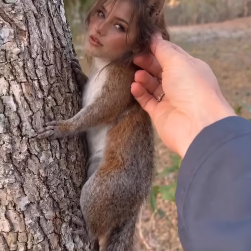 Peace Offering