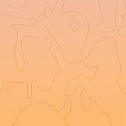 80
