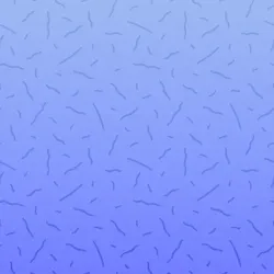 52