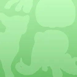 77