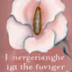 2344