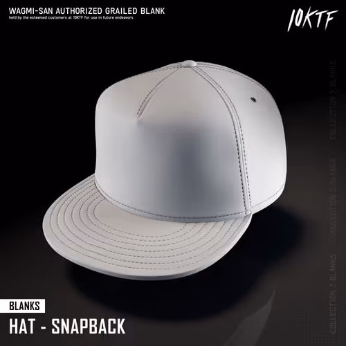 Blank Snapback