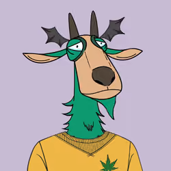 #333