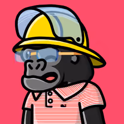 Danger Ranger 204