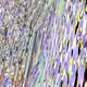 2440