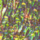 2385