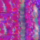 2491