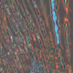 2500