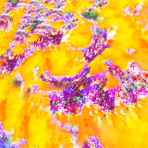 Item #2063 Media