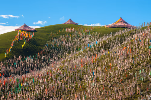 Item #41600090038 Media