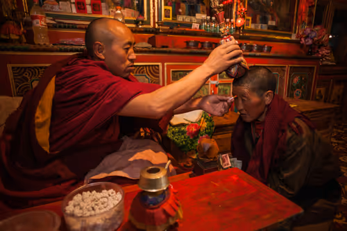 Item #41600090034 Media