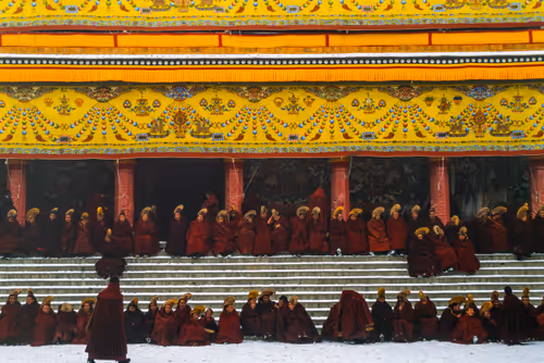 Item #41600090055 Media